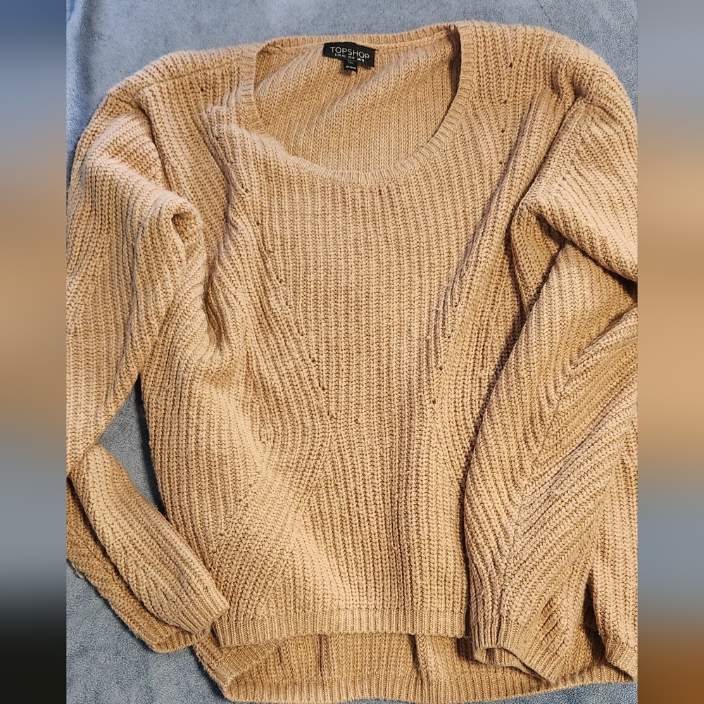 Topshop sweater